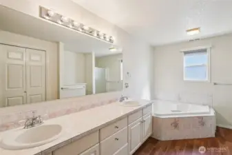 Primary En-Suite with Jetted Tub (seller never used)