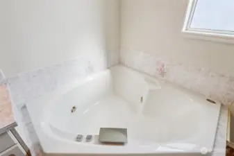 Jetted Tub (not ever used by current owner)