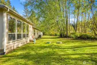 Back yard