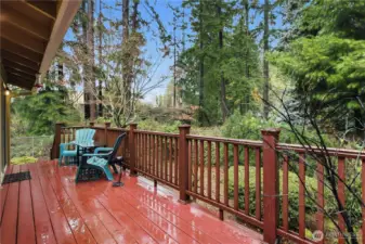 Large back deck was redone in the past five years and is backed by a greenbelt University Place park!