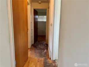 hallway to bath and bedrooms