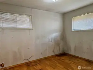 Back bedroom (not mold, just dust)