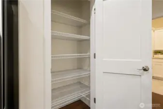 Generous pantry in the kitchen.