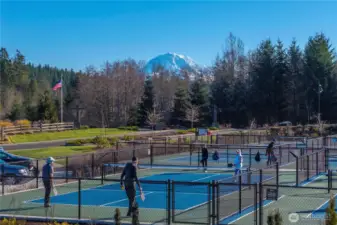 Six Pickleball courts!