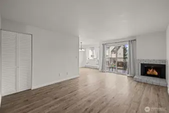 Storage closet and wood burning fireplace.