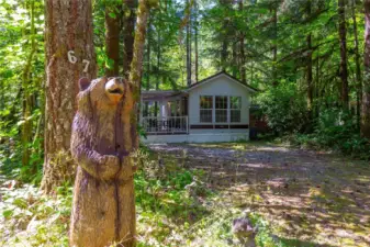 Welcome to 67 4 Christmas Tree Circle