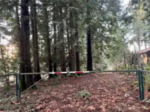 Green Gate at entry to property