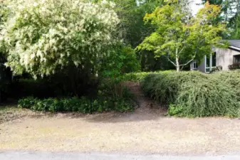 Vacant residential lot with road access and mature vegetation, ideal for clearing and new home construction in Port Townsend.