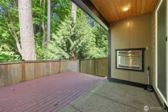GAS Fireplace outdoors too!