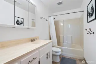 Full bath downstairs