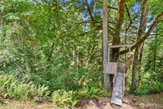 Tree house!