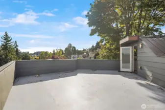 Rooftop Deck - Views