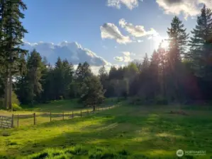 Spring in the pasture.  Nothing beats it!    WELCOME HOME!!