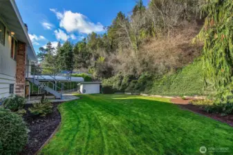 The yard is expansive and 99% level