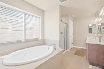 Virtually staged primary bathroom.