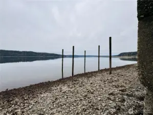 View from the shoreline with oysters and pilings visible; bulkhead at right