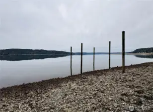 Shoreline view with oysters and pilings.