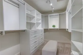 Massive closet with custom organizer system