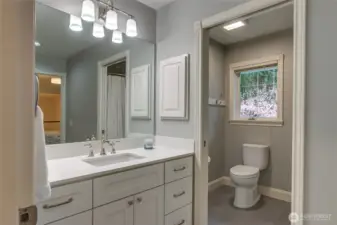 Recently remodeled guest bath