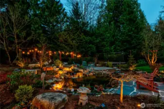 Koi pond is delightful at night