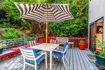 Rear Deck
