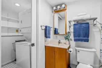 Lower Level Bath and Laundry