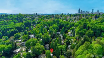 Close to Due South Seattle backdrop