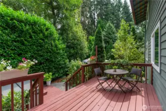 Spacious back yard deck