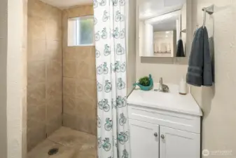 Lower level 3/4 bath.