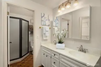 The primary suite includes an attached three-quarter bath with dual sinks, mirrored medicine cabinet storage, and a glimpse of the walk-in closet reflected in the mirror.