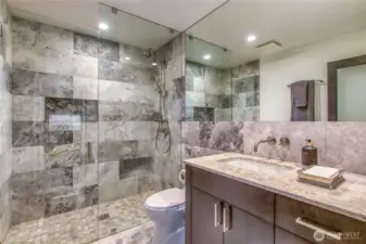 Bathroom on lower level