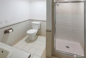 Large Lower Level, .75 Bathroom (Main Unit)