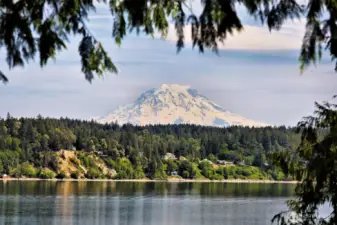 Spectacular east facing view of Case Inlet and Mt Rainier!