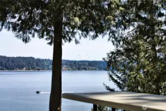 From the patio, The Mountain and Case Inlet. The area is perfect for boating and watersports. Nearby boat launch at Port of Grapeview & Fair Harbor Marina.