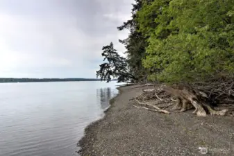 View to the south from shared trail access.