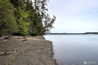 View to north from trail.