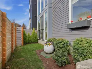 Sprinkler system for grass