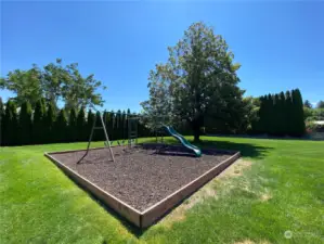 Play Area, Like a Park in your Back Yard!