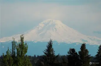 This is a shot from the owner taken from the rooftop deck.