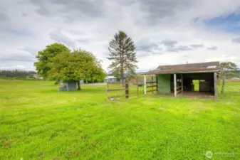 Horse stalls and tack room with electricity and water