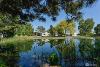 Looking E from private pond