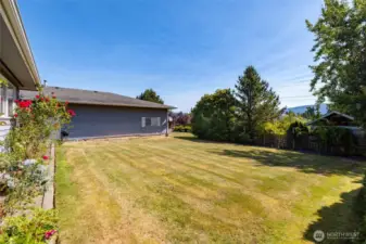 Large shared back yard