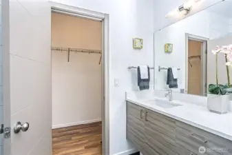 Master bedroom bathroom with walk in closet