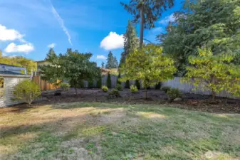 You don't see many homes with this size yard any more! Lots of space between the trees and rear fence for a garden, playset, or Cornhole!
