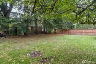 Another view of the back yard.