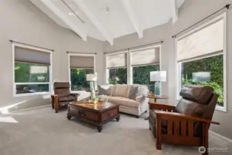 Spacious living room -- dramatic vaulted shed ceiling with exposed beams & designer track lighting, an expansive bank of windows providing plenty of natural light.
