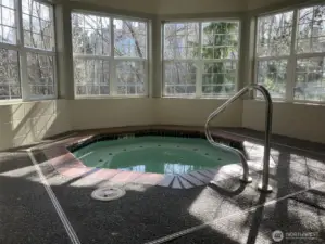 Large hot tub bathed by plenty of light through the many windows.