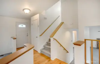 View from dining room