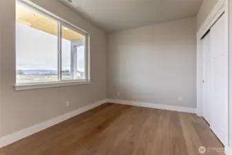 Lower level bedroom or bonus room