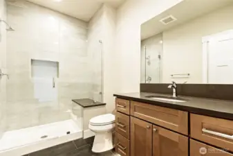 Lower level guest bath